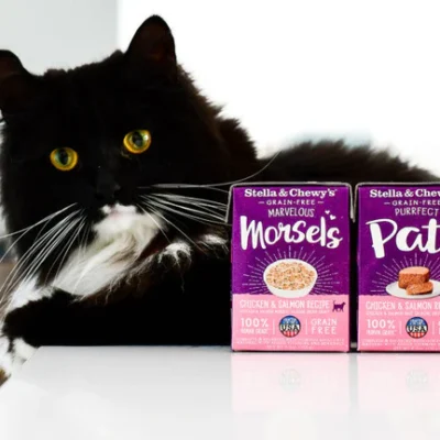 Chewy Cat Food: Nourishing Your Feline with Quality, Care, and Convenience