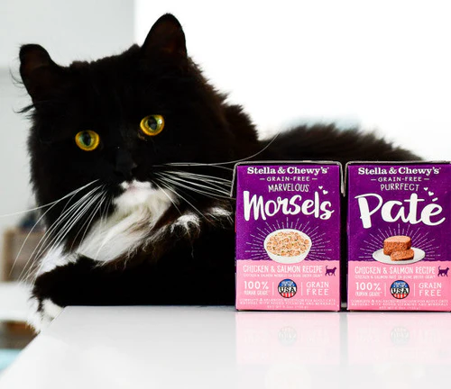 Chewy Cat Food: Nourishing Your Feline with Quality, Care, and Convenience
